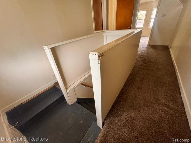 20951 Nummer St, Warren, MI 48089 - stairs featuring baseboards