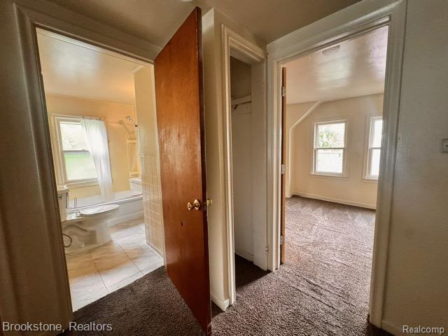 20951 Nummer St, Warren, MI 48089 - corridor featuring carpet and plenty of natural light