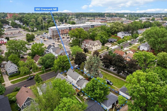 950 Crescent St NE, Grand Rapids, MI 49503 - aerial perspective of suburban area