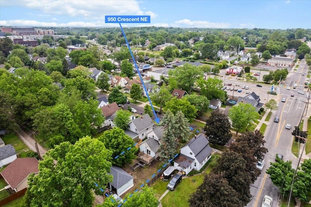 950 Crescent St NE, Grand Rapids, MI 49503 - aerial view of residential area