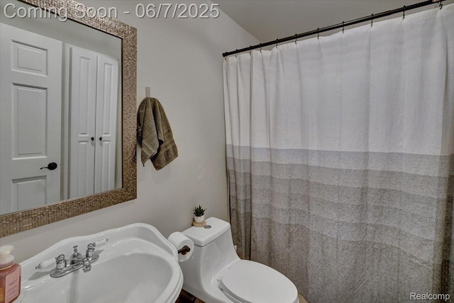 16146 Valcrest Dr, Linden, MI 48451 - bathroom featuring a sink and toilet