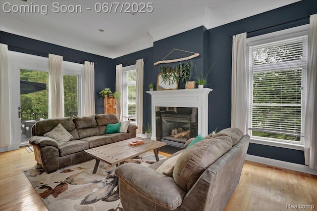 16146 Valcrest Dr, Linden, MI 48451 - living room featuring light wood-style flooring, baseboards, and a glass covered fireplace