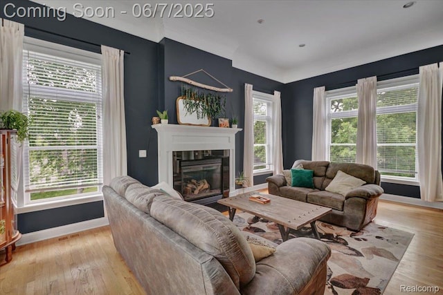 16146 Valcrest Dr, Linden, MI 48451 - living area featuring baseboards, light wood finished floors, and a glass covered fireplace