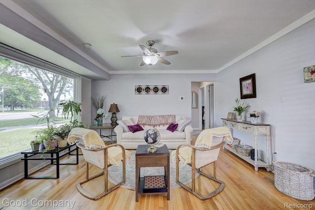 4217 Crooks Rd, Royal Oak, MI 48073 - living room featuring a ceiling fan, light wood-style floors, and crown molding