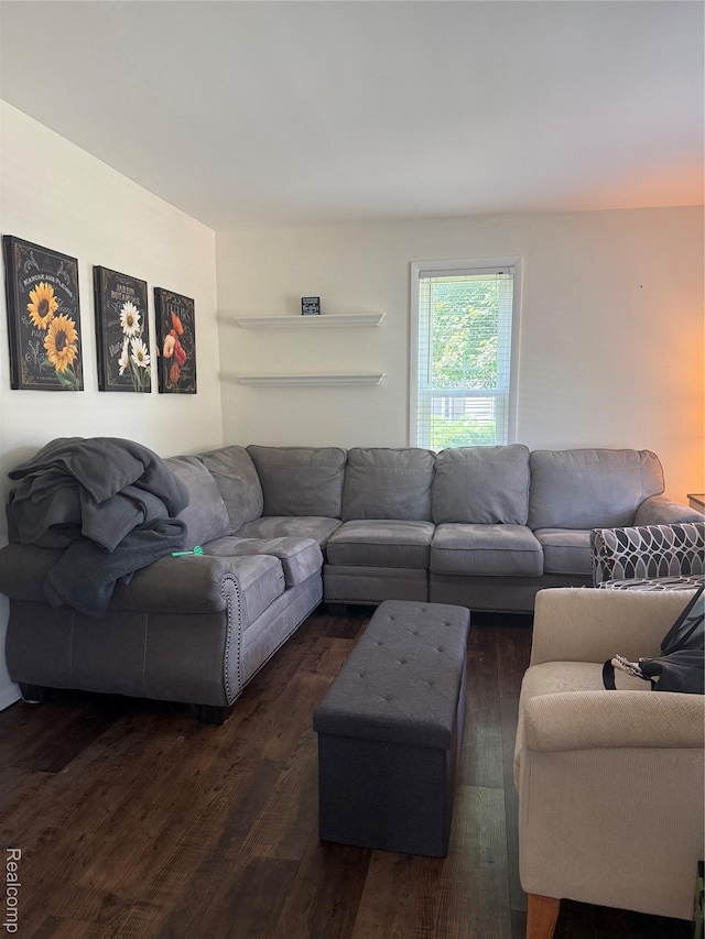 18 Park St, Oxford, MI 48371 - living room with dark wood-style floors