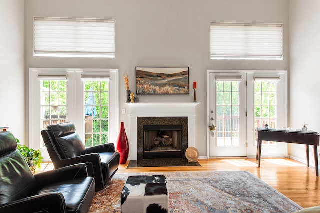 6018 Augusta Ct, Grand Blanc, MI 48439 - living room featuring healthy amount of natural light, wood finished floors, a towering ceiling, a premium fireplace, and baseboards