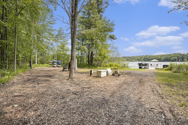 6838 E Michillinda Rd, Twin Lake, MI 49457 - view of yard with a water view