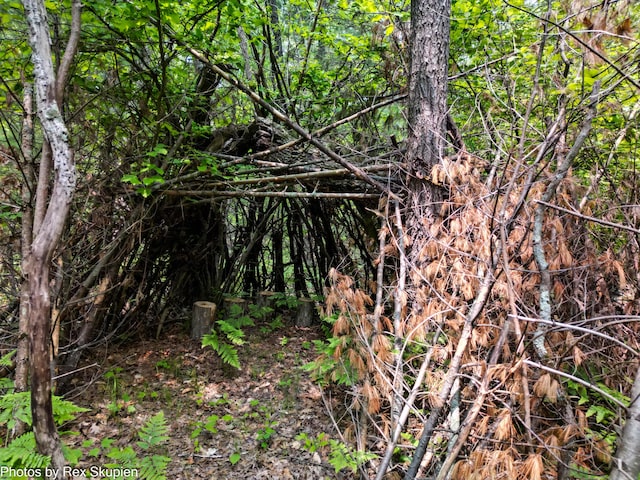 6838 E Michillinda Rd, Twin Lake, MI 49457 - view of undeveloped land