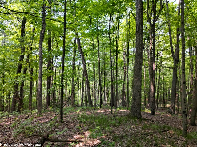 6838 E Michillinda Rd, Twin Lake, MI 49457 - view of wooded area