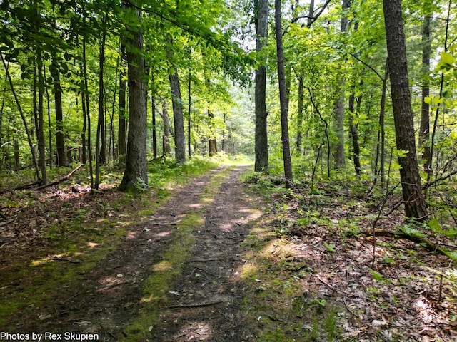 6838 E Michillinda Rd, Twin Lake, MI 49457 - view of wooded area