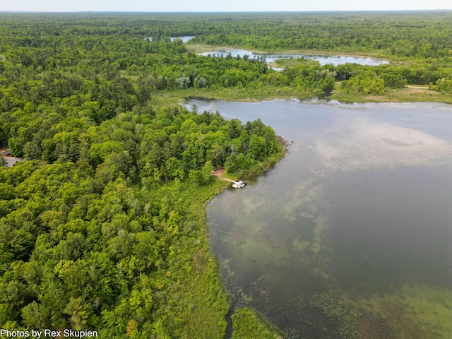 6838 E Michillinda Rd, Twin Lake, MI 49457 - drone / aerial view of a forest and a large body of water