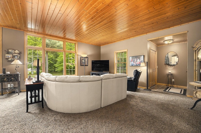 6838 E Michillinda Rd, Twin Lake, MI 49457 - living area featuring carpet floors and wooden ceiling