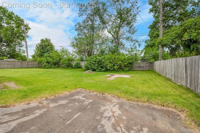 6927 Snow Apple Dr, Clarkston, MI 48346 - view of yard