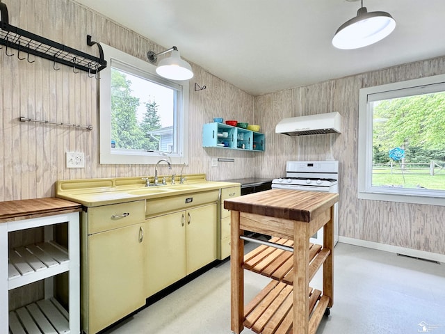 9730 Douglas Rd, Temperance, MI 48182 - kitchen featuring range hood, white gas range oven, dishwashing machine, a sink, and cream cabinetry