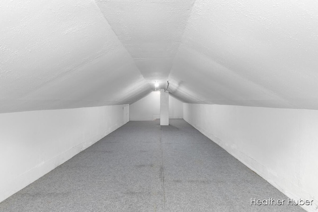 851 Graceland St NE, Grand Rapids, MI 49505 - additional living space featuring vaulted ceiling, a textured ceiling, and carpet floors