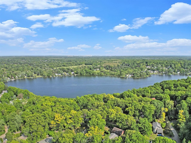 8721 Onandaga Rd, Clarkston, MI 48348 - aerial view of a forest and a large body of water