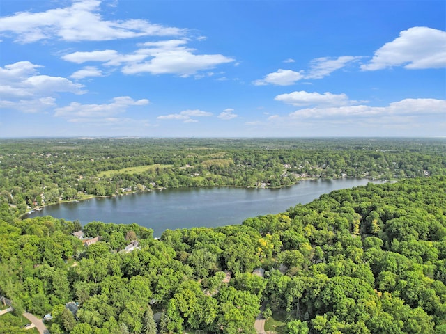 8721 Onandaga Rd, Clarkston, MI 48348 - drone / aerial view of a heavily wooded area and a large body of water