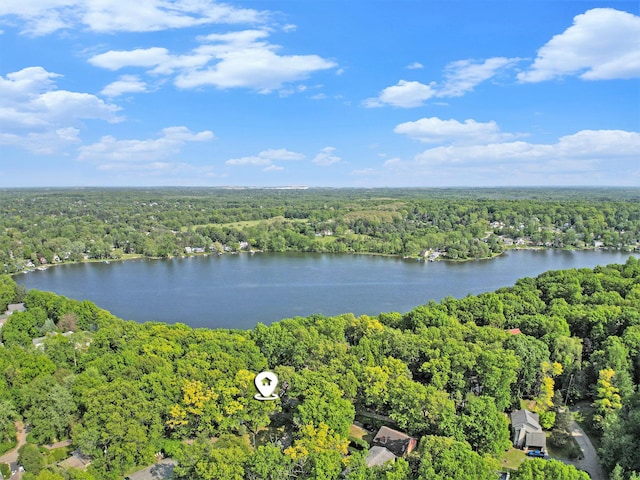 8721 Onandaga Rd, Clarkston, MI 48348 - bird's eye view of a forest and a large body of water