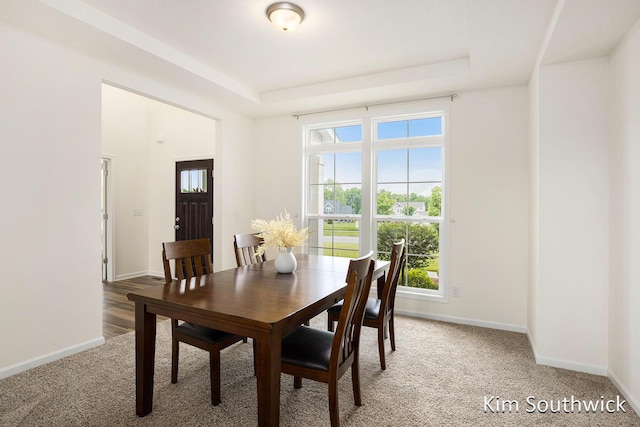 12285 Apple Cart Ln, Lowell, MI 49331 - dining space with plenty of natural light, light colored carpet, a tray ceiling, and baseboards
