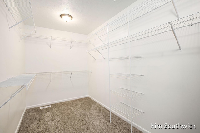 12285 Apple Cart Ln, Lowell, MI 49331 - walk in closet with carpet flooring