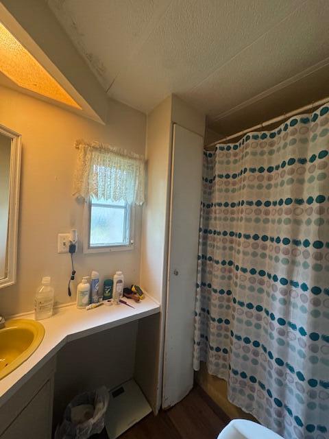 583 S Mcintosh Ln, Muskegon, MI 49442 - bathroom with vanity, wood finished floors, a textured ceiling, and a shower with curtain