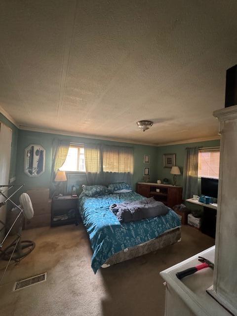 583 S Mcintosh Ln, Muskegon, MI 49442 - bedroom featuring crown molding, carpet, and a textured ceiling