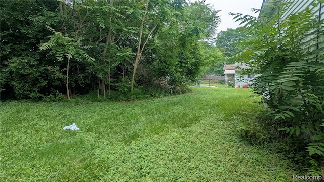 551 Nebraska Ave, Pontiac, MI 48341 - view of grassy yard