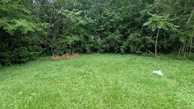 551 Nebraska Ave, Pontiac, MI 48341 - view of yard