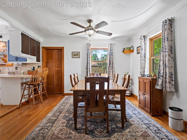 27904 Milton Ave, Warren, MI 48092 - dining room with a ceiling fan, plenty of natural light, and light wood-type flooring