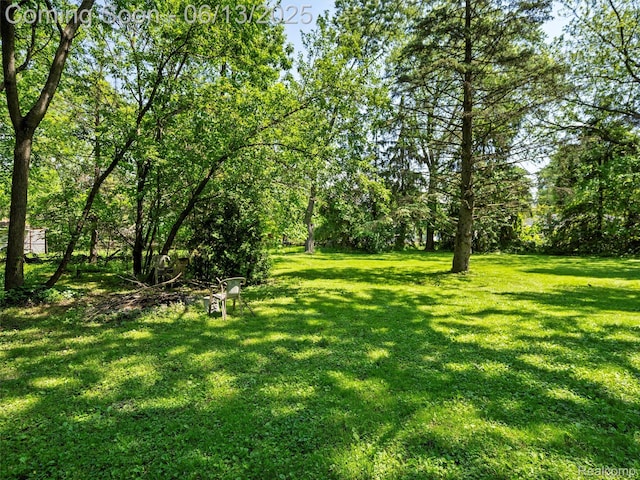 27904 Milton Ave, Warren, MI 48092 - view of grassy yard