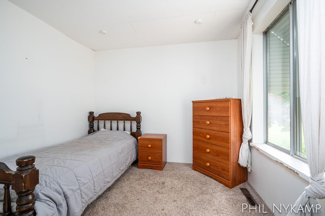 6810 Pierce St, Allendale, MI 49401 - bedroom with carpet floors