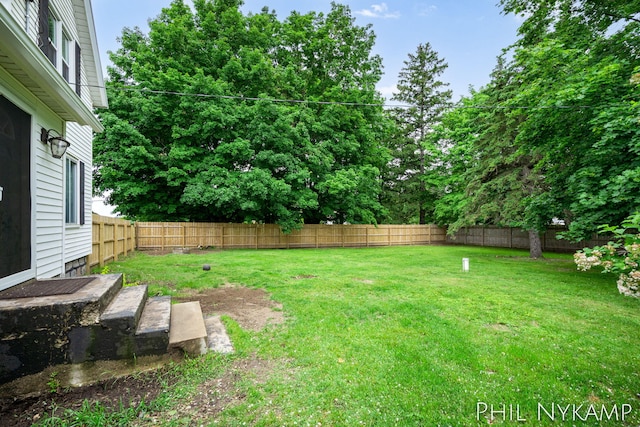 6810 Pierce St, Allendale, MI 49401 - view of yard