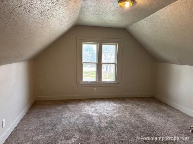 1257 3rd St, Muskegon, MI 49441 - additional living space featuring a textured ceiling, carpet floors, baseboards, and lofted ceiling