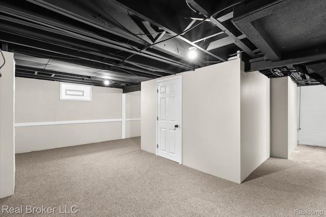 16810 Archdale St, Detroit, MI 48235 - below grade area with carpet floors