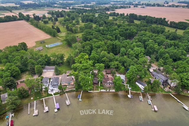 1931 Charlotte Landing Rd, Springport, MI 49284 - aerial overview of property's location with a large body of water, a tree filled landscape, and nearby suburban area