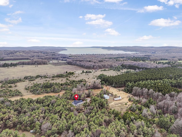 8530 Homestead Rd, Benzonia, MI 49616 - photo 50