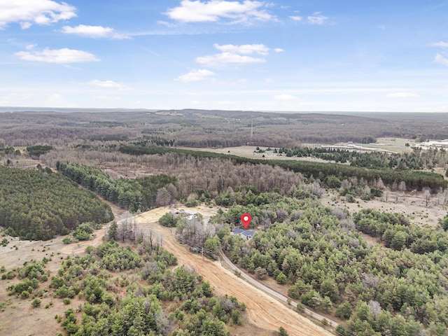 8530 Homestead Rd, Benzonia, MI 49616 - photo 52