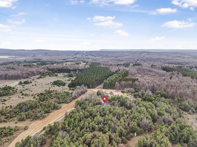 8530 Homestead Rd, Benzonia, MI 49616 - photo 49