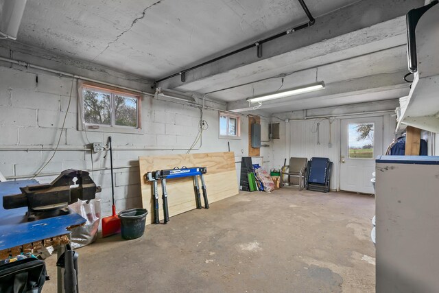 13405 Ellis Rd, Conklin, MI 49403 - below grade area with electric panel and concrete block wall