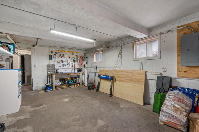 13405 Ellis Rd, Conklin, MI 49403 - basement featuring electric panel, a workshop area, and concrete block wall