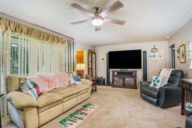 740 Halena St NE, Grand Rapids, MI 49505 - living area with carpet, ceiling fan, and crown molding
