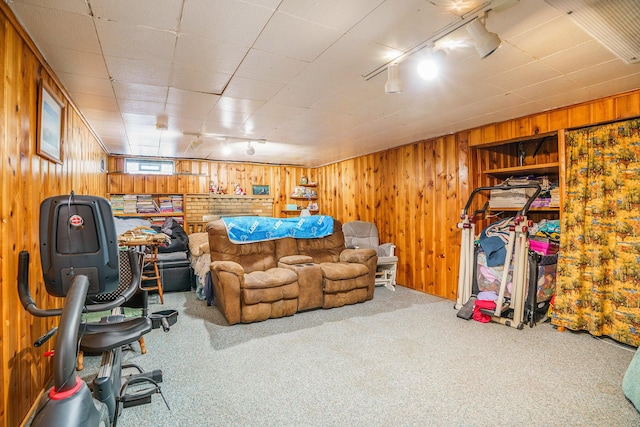 740 Halena St NE, Grand Rapids, MI 49505 - living room featuring rail lighting, carpet floors, and wood walls