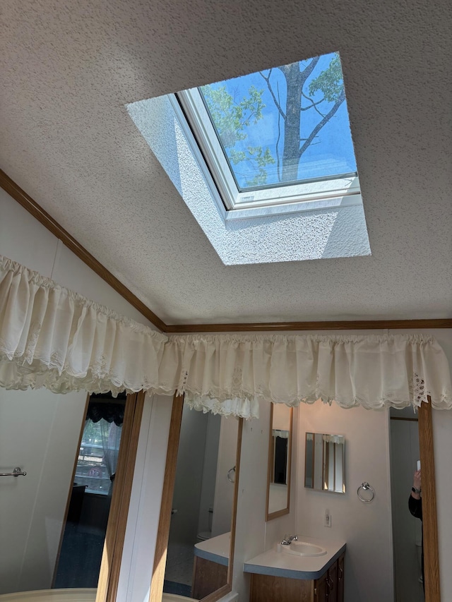 530 N June Dr, Mears, MI 49436 - detailed view of a skylight, vanity, and a textured ceiling