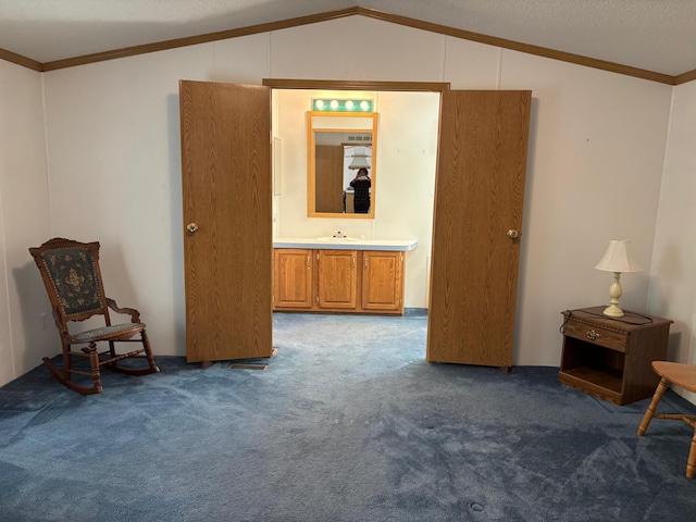530 N June Dr, Mears, MI 49436 - bedroom with dark carpet, lofted ceiling, crown molding, and a sink