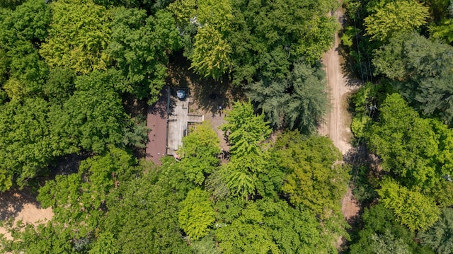 530 N June Dr, Mears, MI 49436 - drone / aerial view
