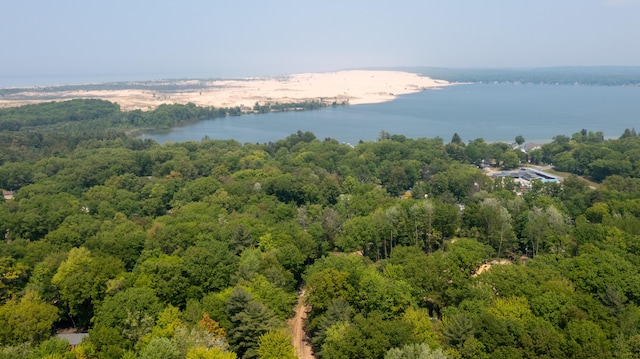 530 N June Dr, Mears, MI 49436 - drone / aerial view of a nearby body of water and a heavily wooded area