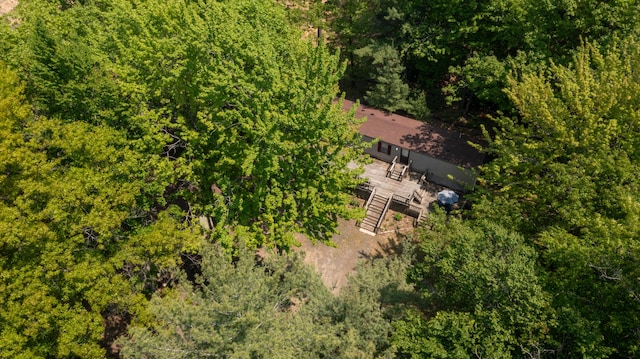 530 N June Dr, Mears, MI 49436 - aerial view of property and surrounding area