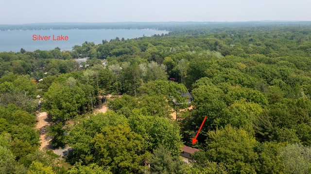 530 N June Dr, Mears, MI 49436 - bird's eye view of a heavily wooded area