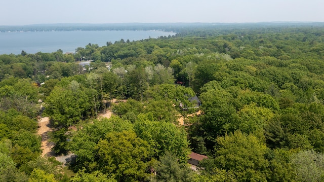 530 N June Dr, Mears, MI 49436 - aerial view of a heavily wooded area and a nearby body of water