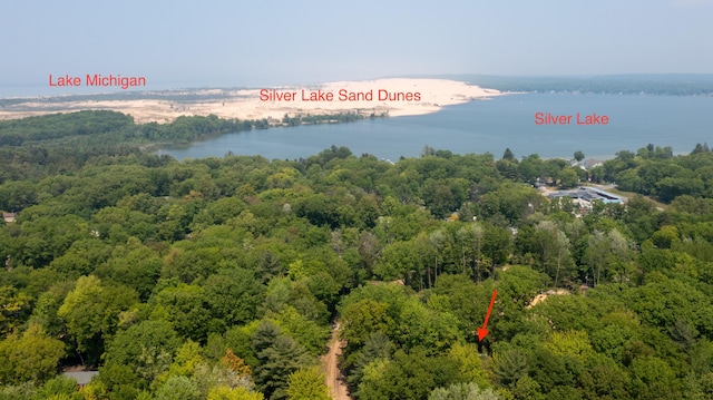 530 N June Dr, Mears, MI 49436 - bird's eye view of a forest and a nearby body of water